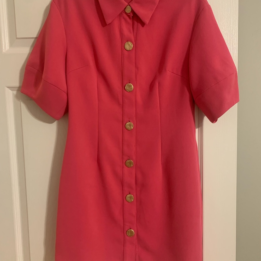 Elliatt Pink Button Down Dress